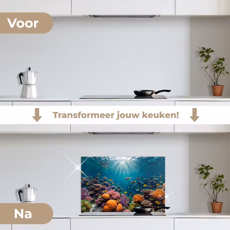 Vis - Koraal - Oceaan - Natuur - Kleurrijk keuken achterwand spatscherm klein -voor_na_NL