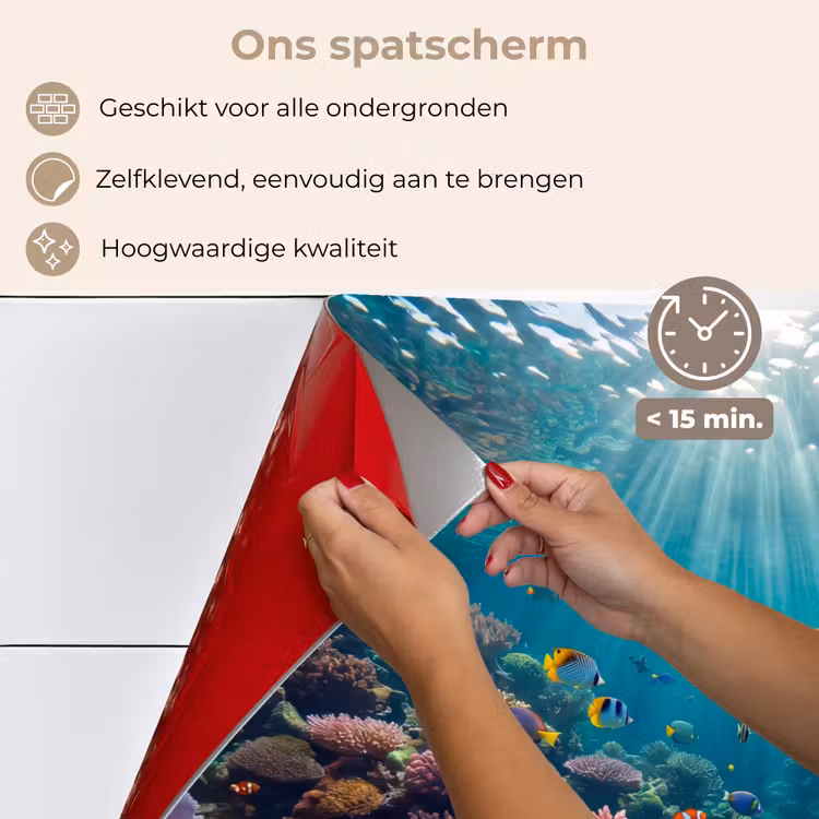 Vis - Koraal - Oceaan - Natuur - Kleurrijk keuken achterwand spatscherm klein -spatscherm_NL