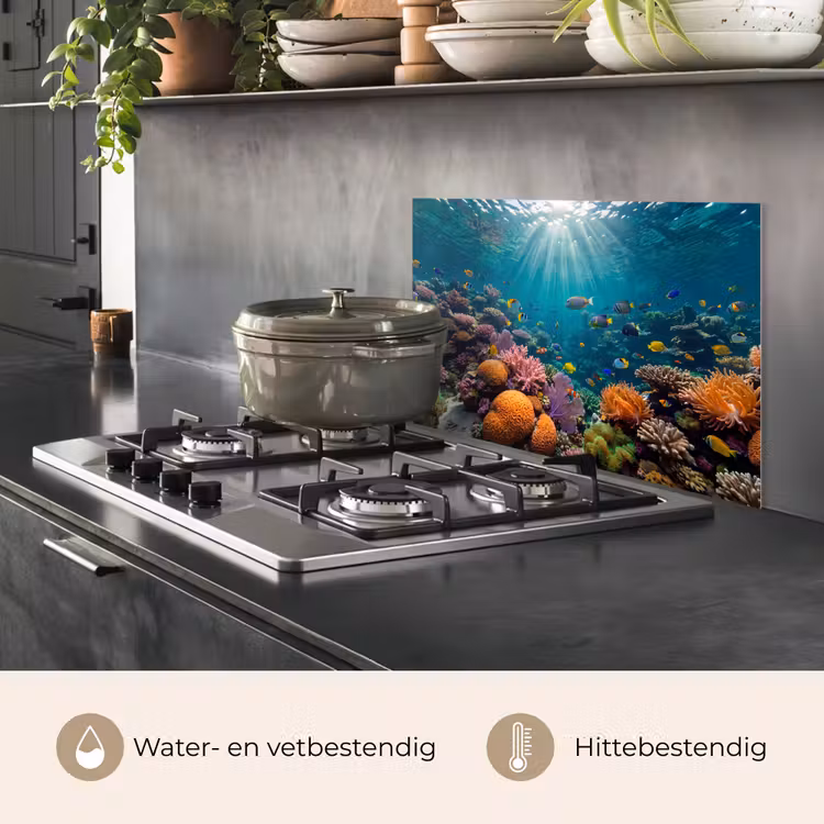 Vis - Koraal - Oceaan - Natuur - Kleurrijk keuken achterwand spatscherm klein -usp_NL