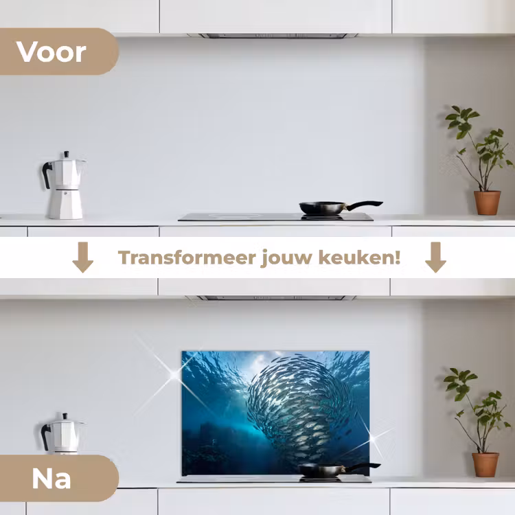 Vis - School - Oceaan - Natuur - Blauw keuken achterwand spatscherm klein -voor_na_NL