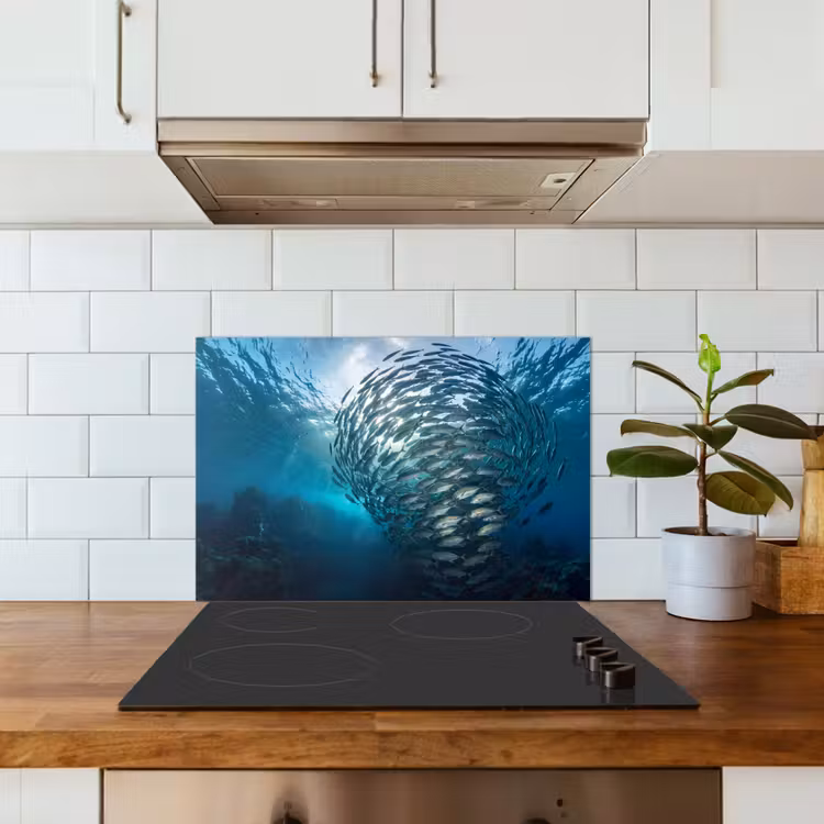 Vis - School - Oceaan - Natuur - Blauw keuken achterwand spatscherm klein -sfeer2