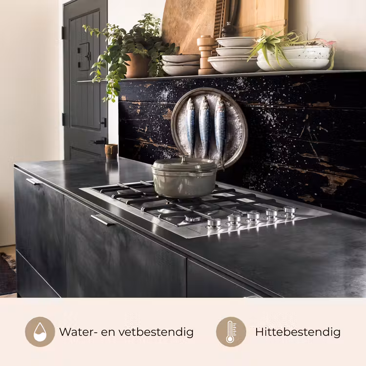 Keuken achterwand - Vis - Zout - Eten - Vis - Zout - Eten keuken achterwand 2 middel