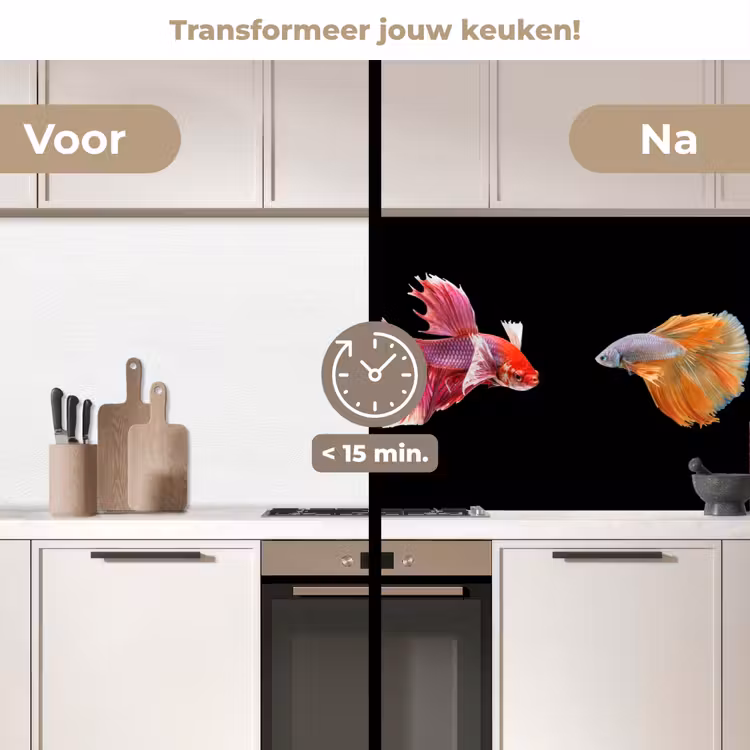 Vissen - Kleurrijk - Dieren keuken achterwand 2 middel -voor-na2_NL