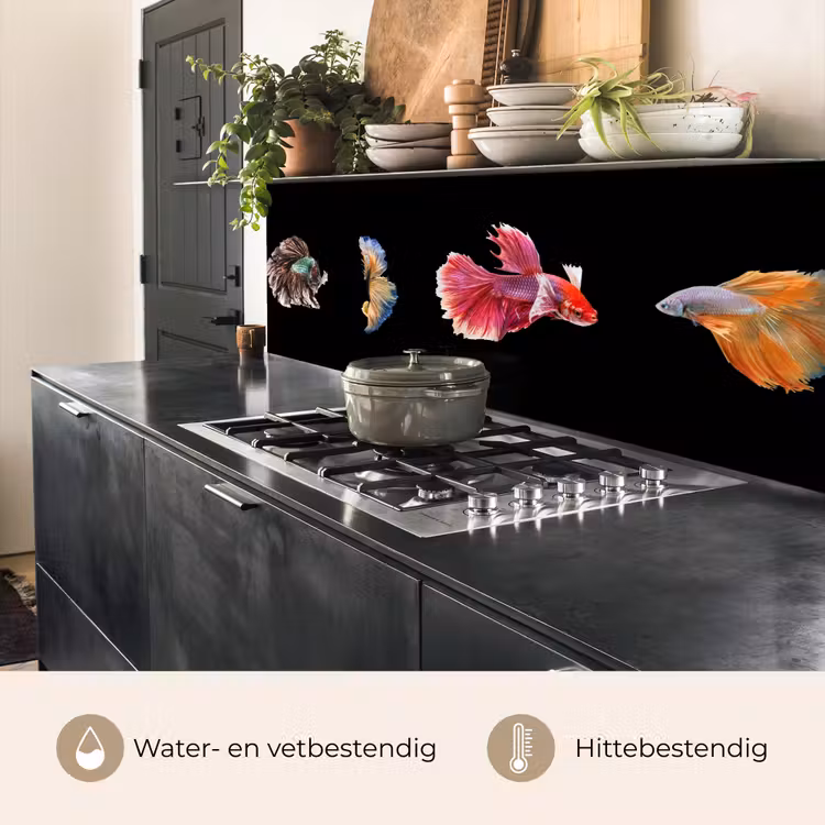 Vissen - Kleurrijk - Dieren keuken achterwand 2 middel -usp_NL