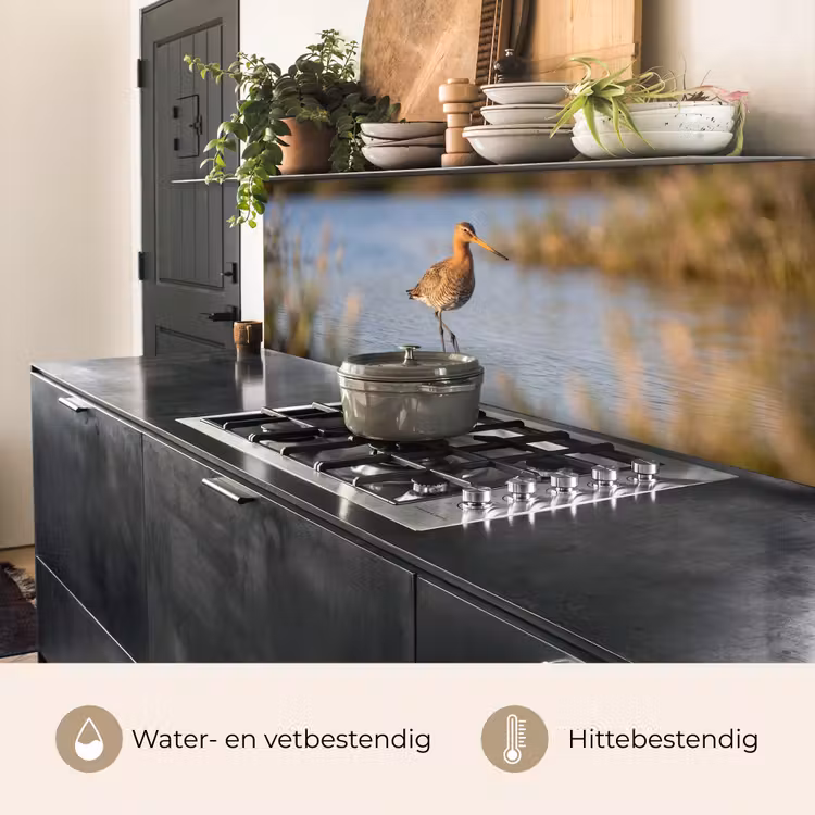 Vogel - Steltloper - Water - Natuur keuken achterwand 2 middel -usp_NL