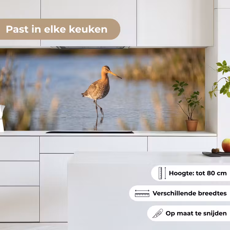 Vogel - Steltloper - Water - Natuur keuken achterwand 2 middel -sfeer4_NL