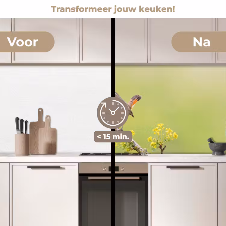 Vogel - Tak - Natuur - Kleurrijk keuken achterwand 2 middel -voor-na2_NL
