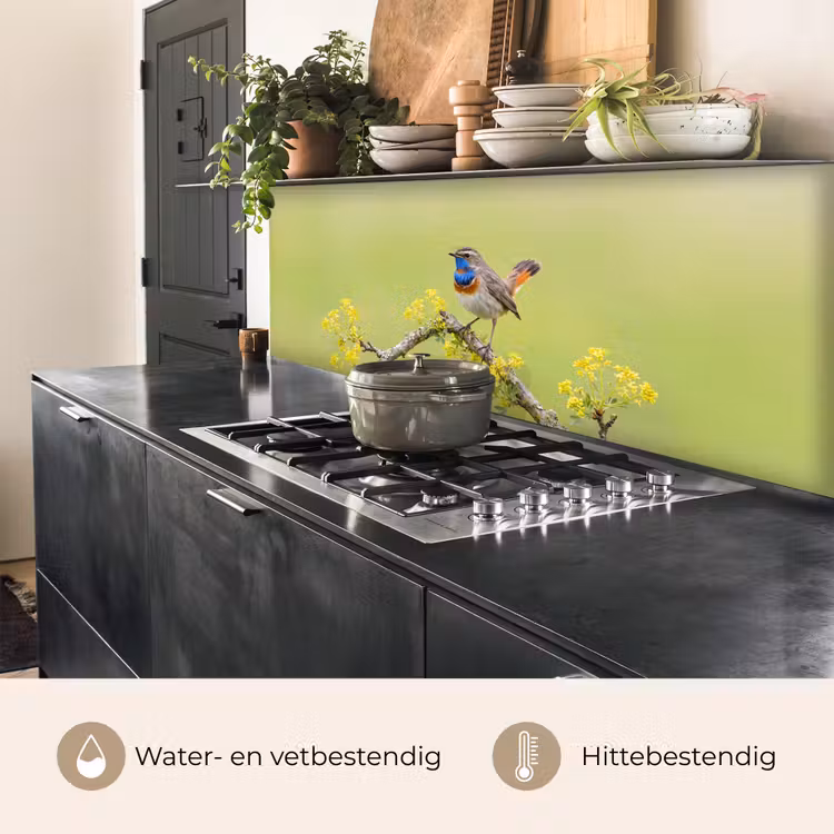 Vogel - Tak - Natuur - Kleurrijk keuken achterwand 2 middel -usp_NL