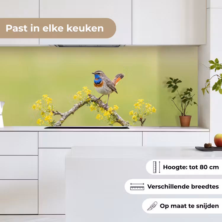 Vogel - Tak - Natuur - Kleurrijk keuken achterwand 2 middel -sfeer4_NL