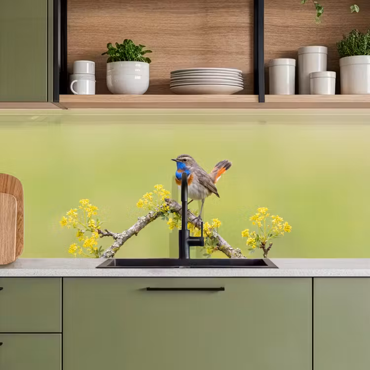 Vogel - Tak - Natuur - Kleurrijk keuken achterwand 2 middel -sfeer3