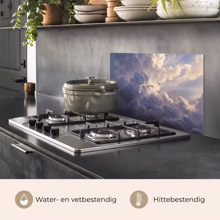 Vogel - Vliegend - Natuur - Wit - Wolken keuken achterwand spatscherm klein -usp_NL
