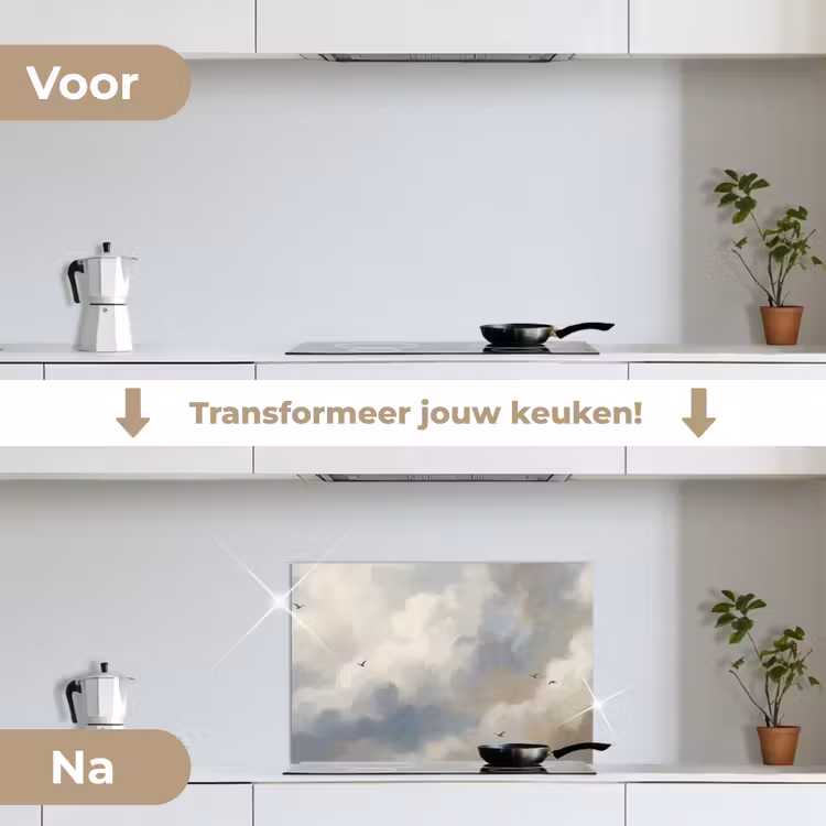 Vogel - Wolken - Natuur - Modern - Grijs keuken achterwand spatscherm klein -voor_na_NL