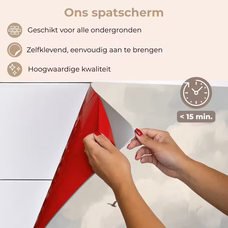 Vogel - Wolken - Natuur - Modern - Grijs keuken achterwand spatscherm klein -spatscherm_NL