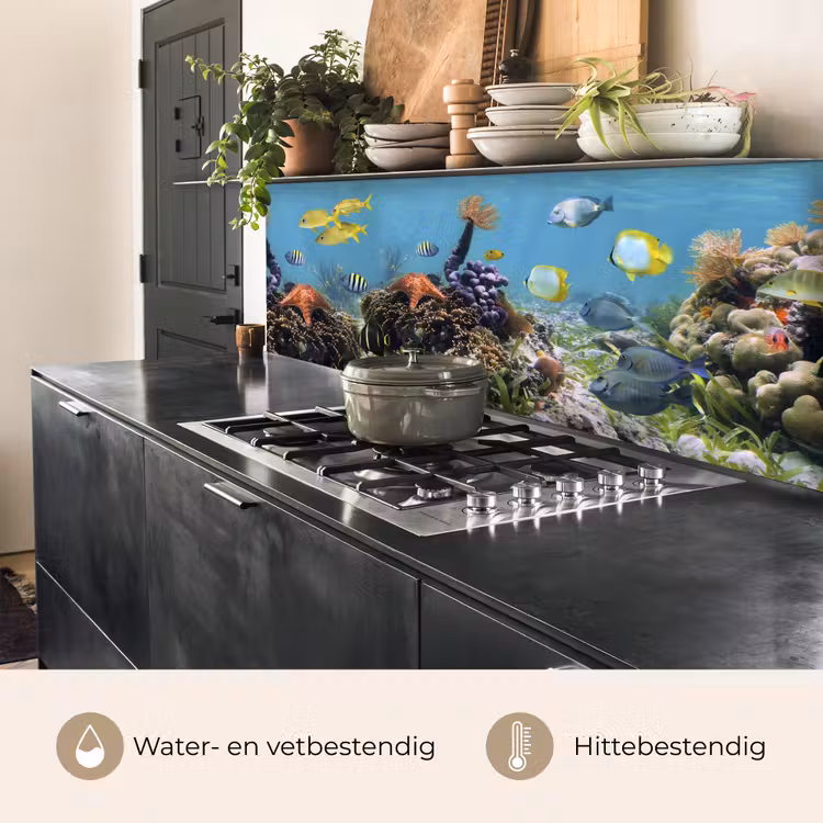 Water - Koralen - Vissen - Lichtinval keuken achterwand 2 middel -usp_NL