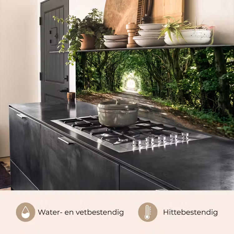 Weg - Bomen - Natuur - Groen keuken achterwand 2 middel -usp_NL