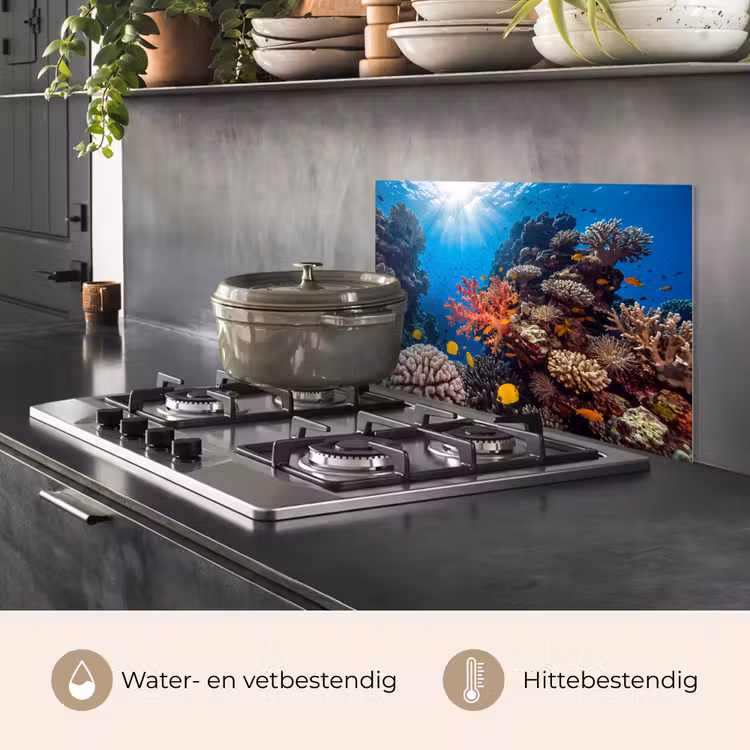 Zee - Koraalrif - Natuur - Levendig - Blauw keuken achterwand spatscherm klein -usp_NL