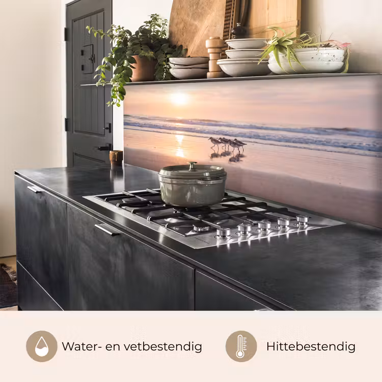 Zee - Vogels - Strand keuken achterwand 2 middel -usp_NL