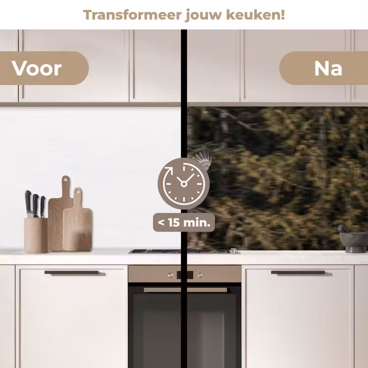 Zeearend - Vliegen - Bos - Natuur keuken achterwand 2 middel -voor-na2_NL