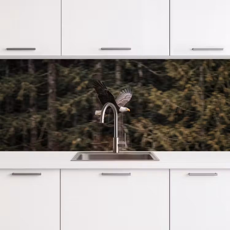 Zeearend - Vliegen - Bos - Natuur keuken achterwand 2 middel -3d