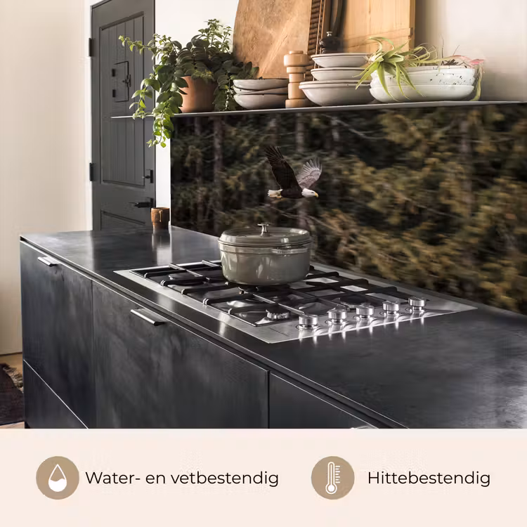 Zeearend - Vliegen - Bos - Natuur keuken achterwand 2 middel -usp_NL