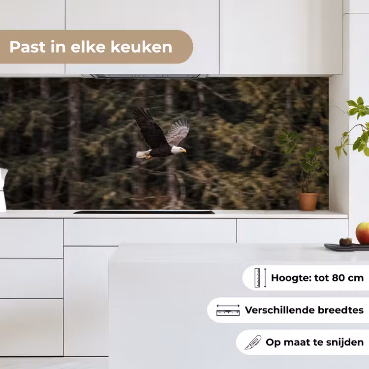 Zeearend - Vliegen - Bos - Natuur keuken achterwand 2 middel -sfeer4_NL