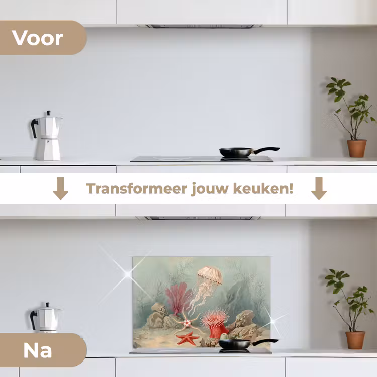 Zeeleven - Kwal - Onderwater - Illustratie - Beige keuken achterwand spatscherm klein -voor_na_NL