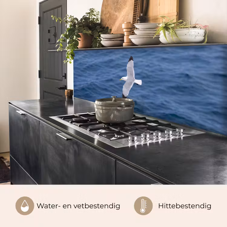 Zeemeeuw - Oceaan - Blauw keuken achterwand 2 middel -usp_NL