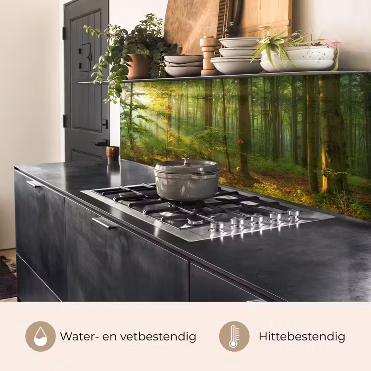 Zon - Bos - Bomen - Natuur - Herfst keuken achterwand 2 middel -usp_NL