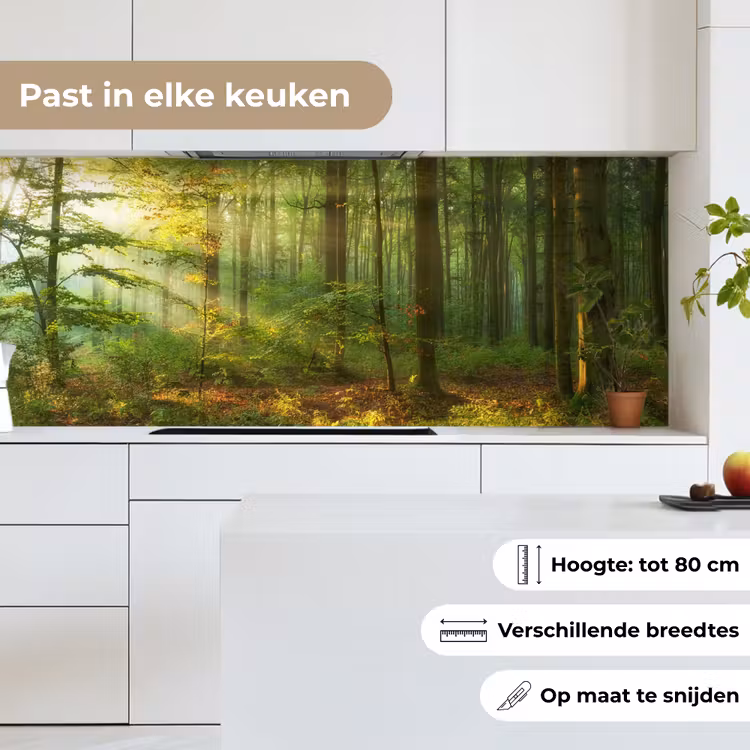 Zon - Bos - Bomen - Natuur - Herfst keuken achterwand 2 middel -sfeer4_NL