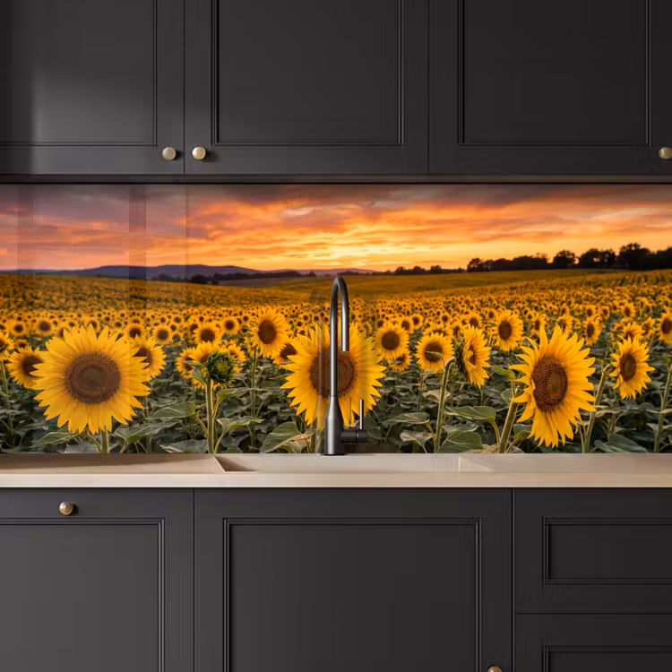 Zonnebloemen - Heuvellandschap - Geel keuken achterwand 2 middel -sfeer1