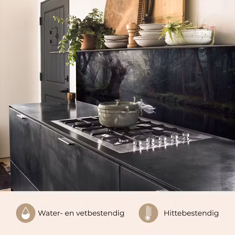 Zwanen - Rivier - Bos keuken achterwand 2 middel -usp_NL