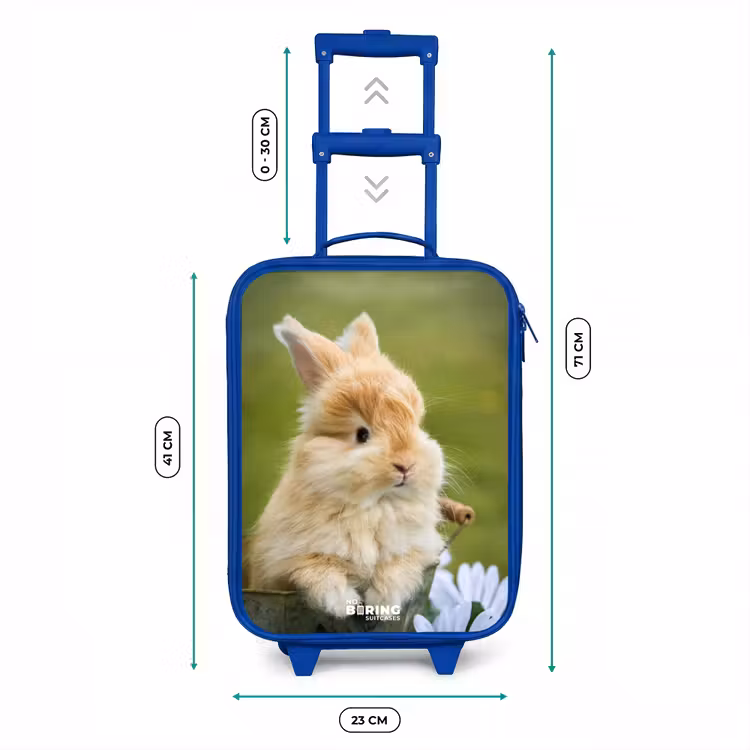 Konijn in bloempot Kinderkoffer - Blauw klein -productfoto_formaten