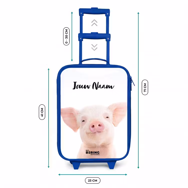 Binky Big Kinderkoffer - Blauw klein -productfoto_formaten