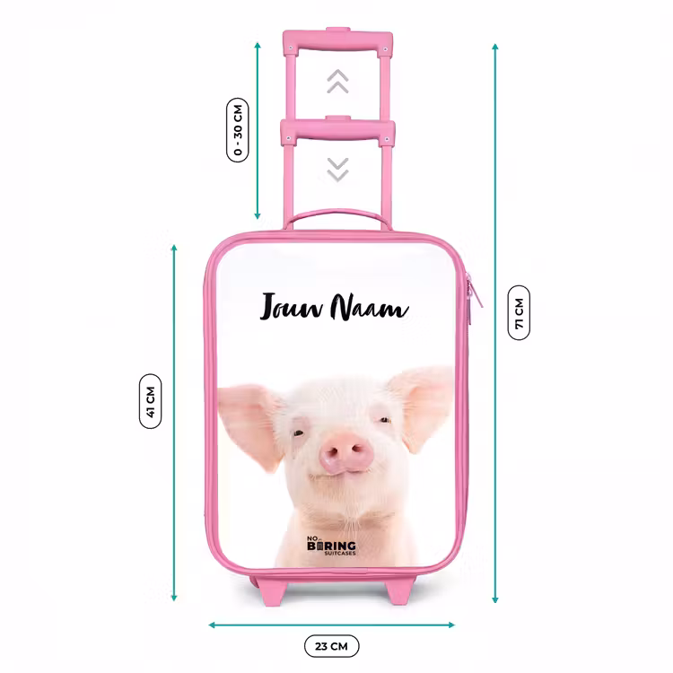 Binky Big Kinderkoffer - Roze klein -productfoto_formaten