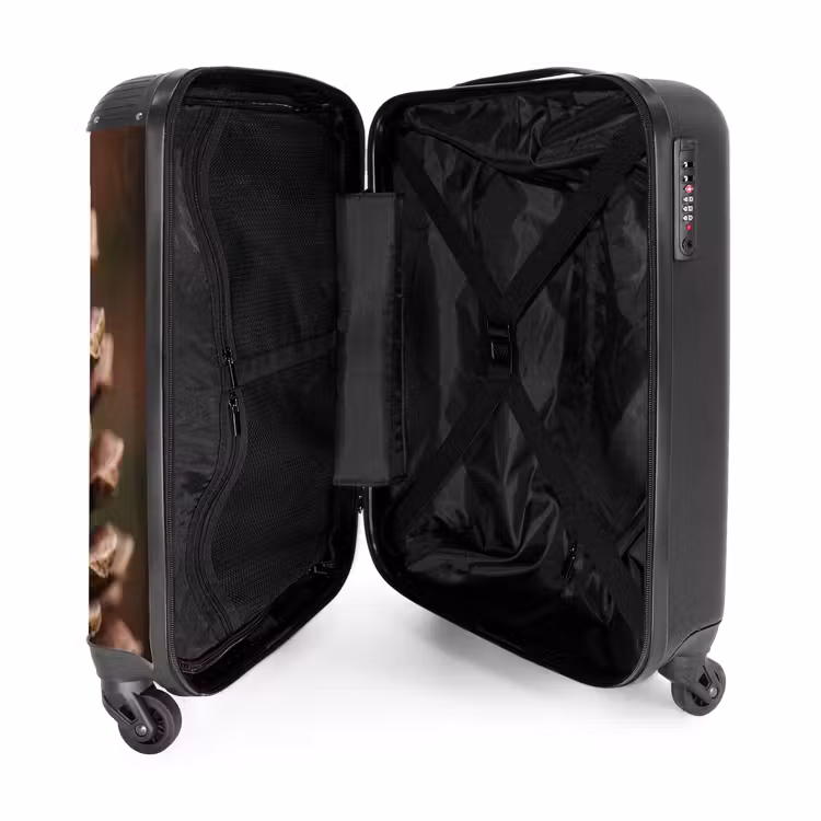 Koffer - Dennenappel - Bos - Herfst - Bruin - Sfeervol - Dennenappel - Bos - Herfst - Bruin - Sfeervol NBS - Handbagage koffer - Volwassenen Unisex middel