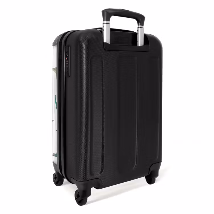 Dino Dynastie NBS - Handbagage koffer - Unisex middel -achterkant