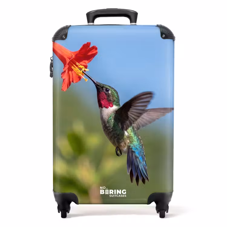 Koffer - Kolibrie - Bloem - Natuur - Groen - Kolibrie - Bloem - Natuur - Groen NBS - Handbagage koffer - Volwassenen Unisex middel