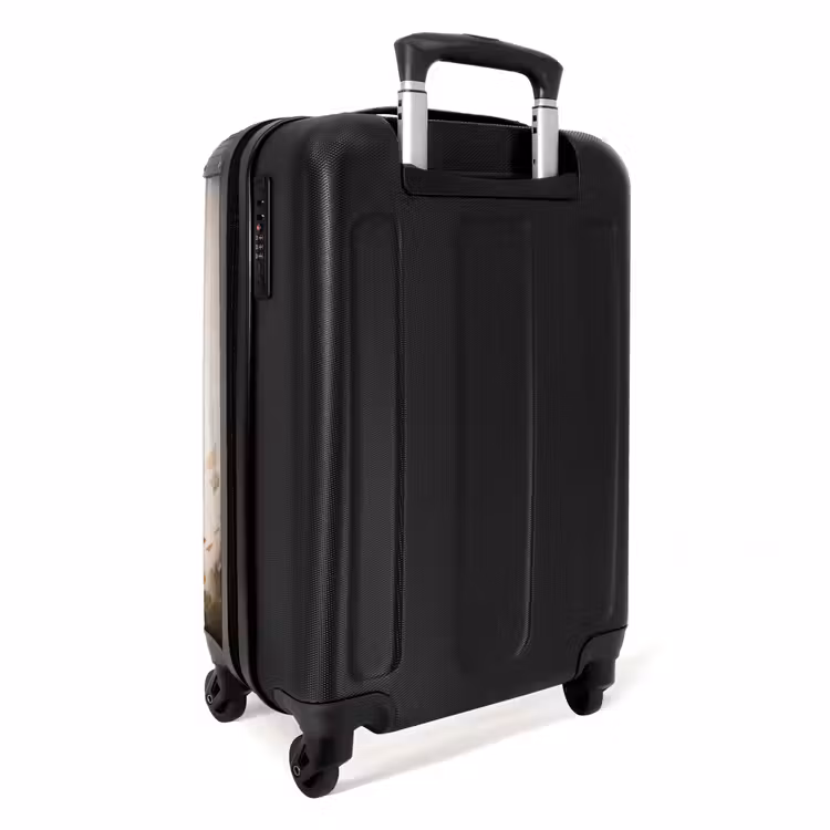 Ludo leeuw NBS - Handbagage koffer - Unisex middel -achterkant
