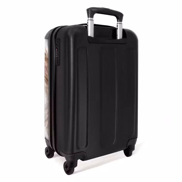 Pampasgras - Pluizig - Kleurrijk NBS - Handbagage koffer - Volwassenen Unisex middel -achterkant