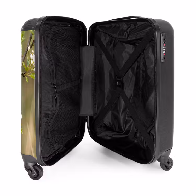 Koffer - Putter - Bloesem - Lente - Natuur - Kleurrijk - Putter - Bloesem - Lente - Natuur - Kleurrijk NBS - Handbagage koffer - Volwassenen Unisex middel
