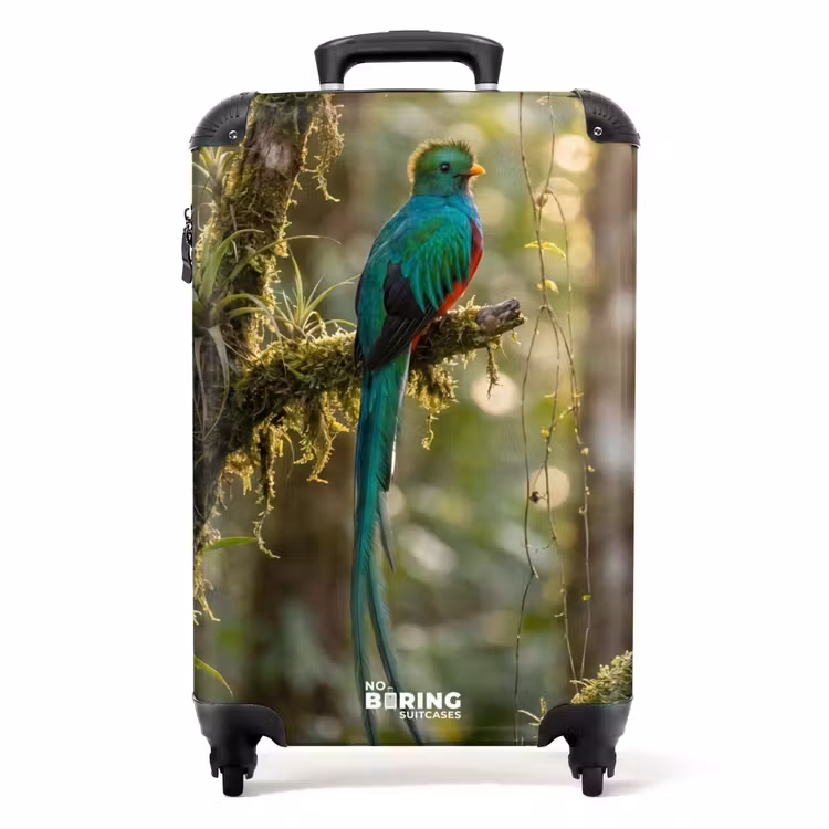 Koffer - Quetzal - Jungle - Natuur - Groen - Quetzal - Jungle - Natuur - Groen NBS - Handbagage koffer - Volwassenen Unisex middel
