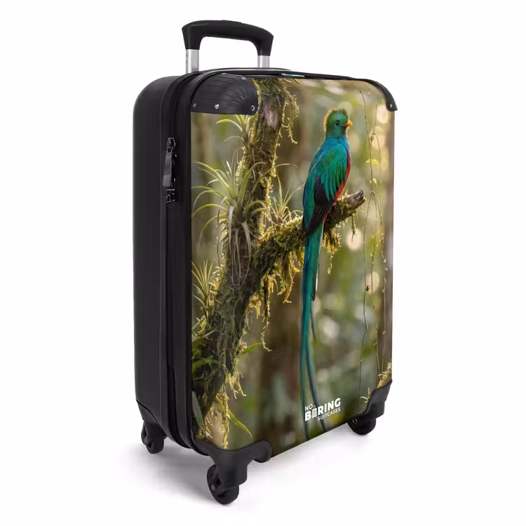 Koffer - Quetzal - Jungle - Natuur - Groen - Quetzal - Jungle - Natuur - Groen NBS - Handbagage koffer - Volwassenen Unisex middel