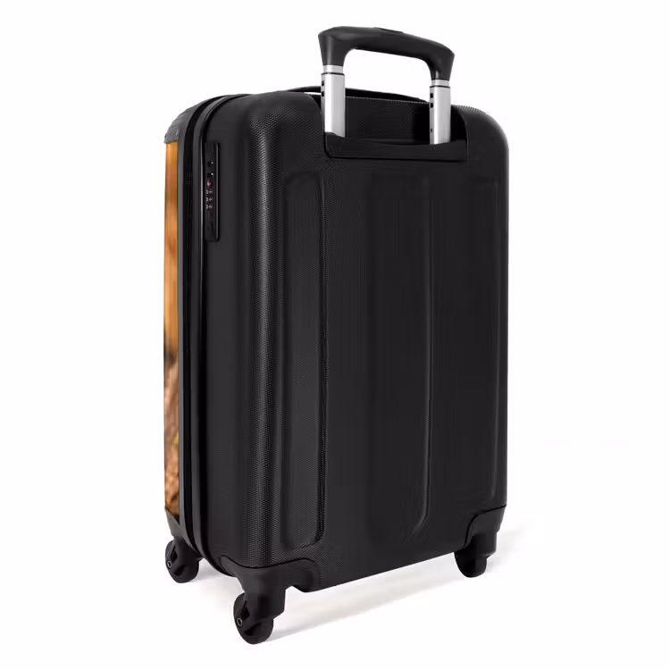 Koffer - Rietpluimen - Gras - Zonsondergang - Goud - Serene - Rietpluimen - Gras - Zonsondergang - Goud - Serene NBS - Handbagage koffer - Volwassenen Unisex middel