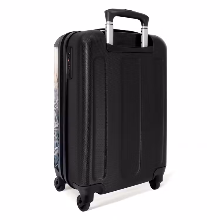 Koffer - Rijp - Gras - Kristallen - Winter - Minimalistisch - Rijp - Gras - Kristallen - Winter - Minimalistisch NBS - Handbagage koffer - Volwassenen Unisex middel