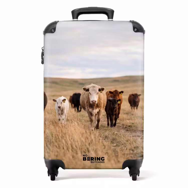 Koffer - Runderen - Kudde - Landschap - Weide - Rustig - Runderen - Kudde - Landschap - Weide - Rustig NBS - Handbagage koffer - Volwassenen Unisex middel