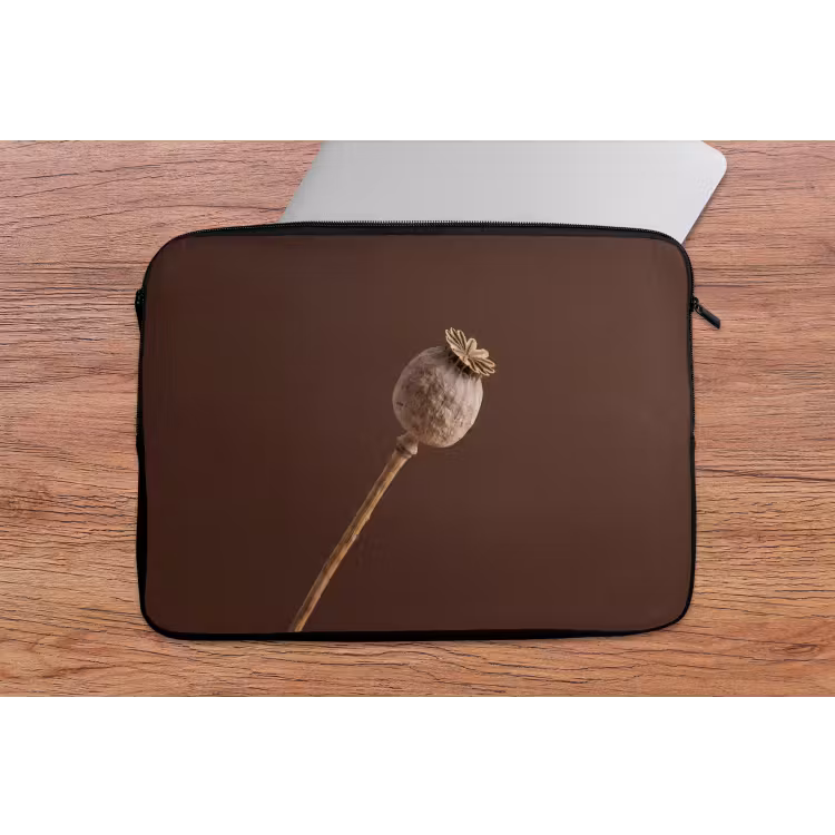 Papaverbol - Droogbloem - Bruin - Minimalistisch laptophoes neopreen klein -tafel