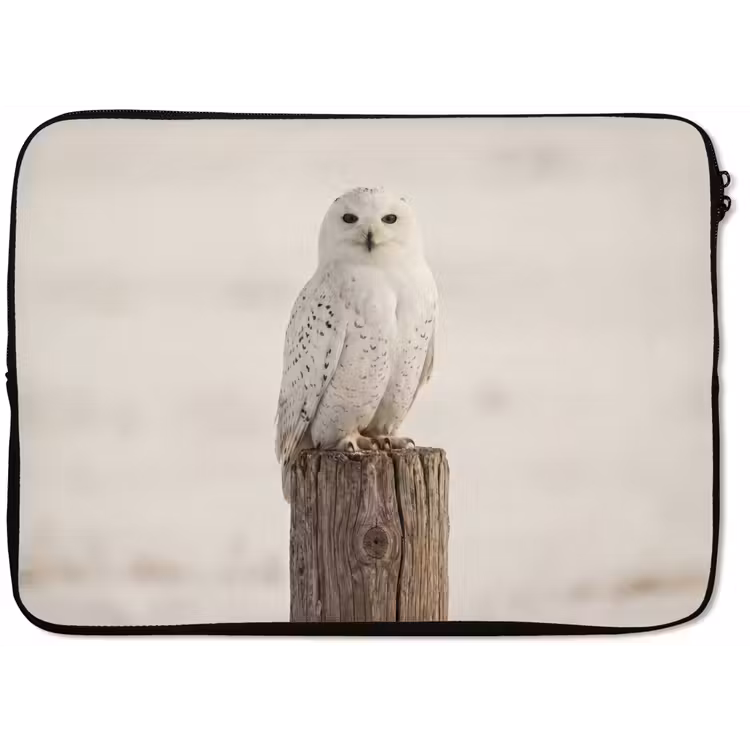 Sneeuwuil - Paal - Winter - Portret - Majestueus laptophoes neopreen klein -zkaufland3dotto