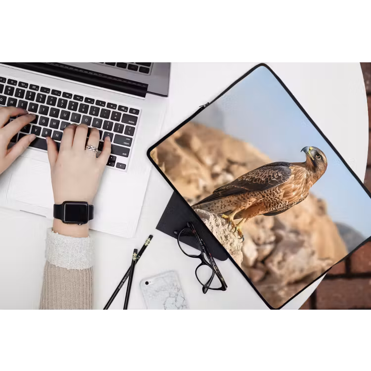 Valk - Vogel - Rots - Macht laptophoes neopreen klein -bureau
