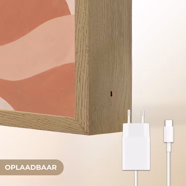 Abstract - Vormen - Organisch - Aardetinten - Modern Light Box met batterij (Wandlamp) middel -USP_websiteoplaadbaarNL