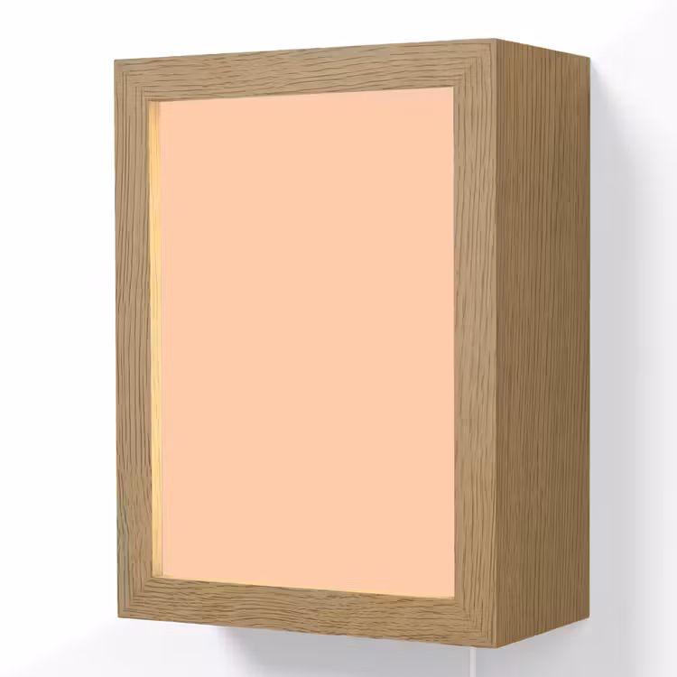Apricot - Blush - Nude Light Box met kabel (Wandlamp) klein 929 -3d